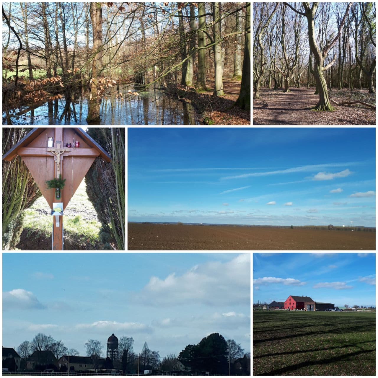 Collage Kurler Busch DJK Wandern